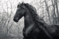 /album/fotogaleria/a536842-10150968246931048-1865115006-n-jpg/