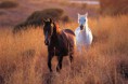 /album/fotogaleria/a156245-405429926144364-178535958-n-jpg/