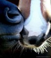 /album/fotogaleria/a482572-536702806350408-64514954-n-jpg/