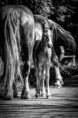 /album/fotogaleria/a545247-513336435353712-434625852-n-jpg/
