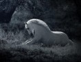 /album/fotogaleria/a734971-537087089645313-1108549636-n-jpg/