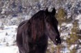 /album/fotogaleria-mark-van-moravia/a10924710-318640228334816-602776864498236734-n-jpg/