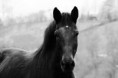 /album/fotogaleria-cordox/a10923557-318643168334522-79044801547078476-n-jpg/