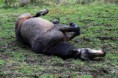 /album/fotogaleria-grafton/a10898068-318642511667921-6923174400696927231-n-jpg/