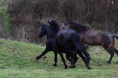 /album/fotogaleria-nasi-vymyselnici-a-ich-sibalstva/a10898191-10202118885572408-760787816556199999-n-jpg/