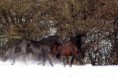 /album/fotogaleria-nasi-vymyselnici-a-ich-sibalstva/a10899768-968487223179159-705024071-n-jpg/