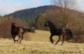/album/fotogaleria-nasi-vymyselnici-a-ich-sibalstva/a10917650-10202143394905126-1865642885-n-jpg/